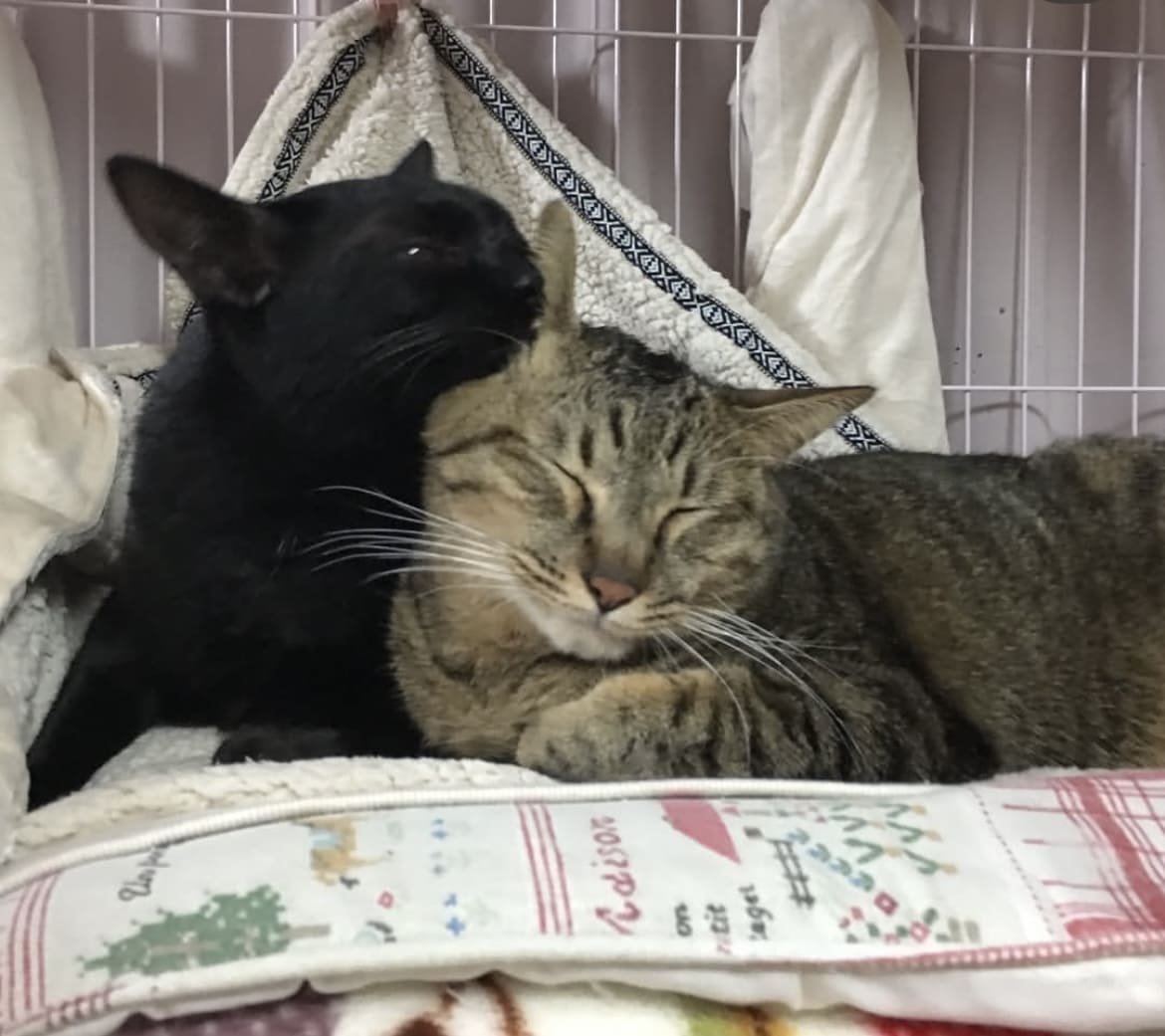 自分の写真